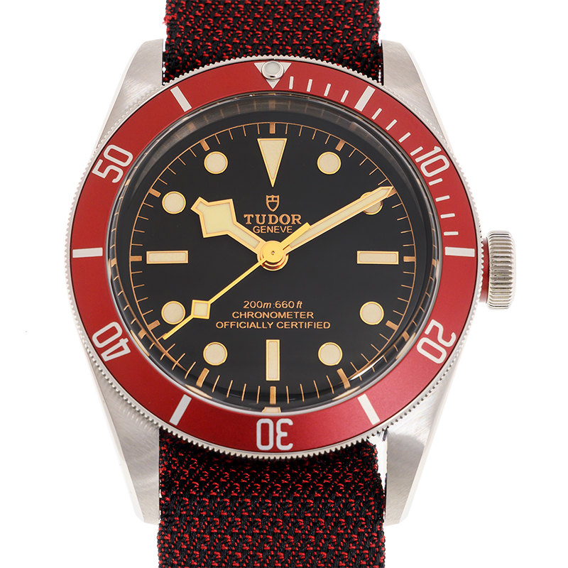 NEW TUDOR BLACK BAY 41 79230R-CANVAS STRAP