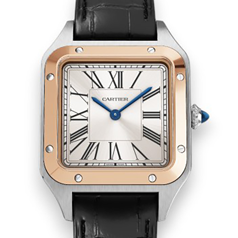 NEW CARTIER SANTOS W2SA0038