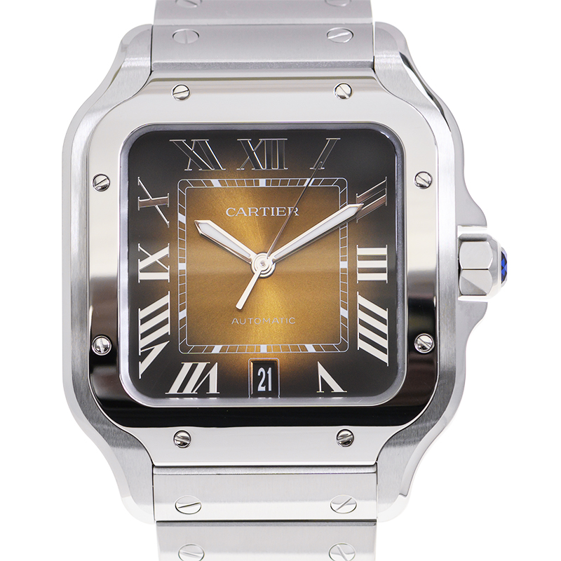 NEW CARTIER SANTOS WSSA0064