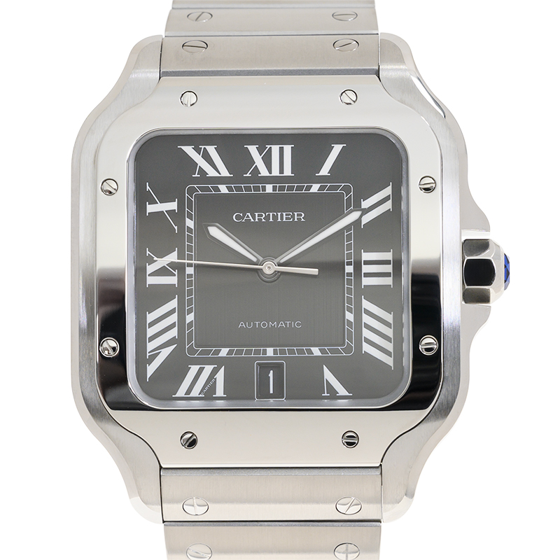 NEW CARTIER SANTOS WSSA0096