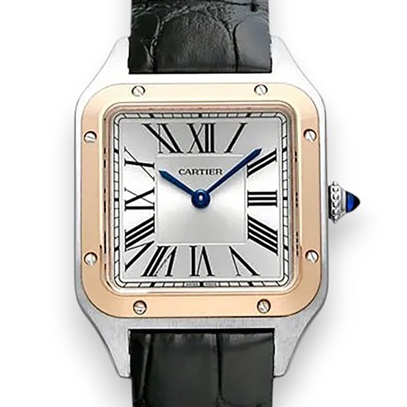 NEW CARTIER SANTOS W2SA0038 1