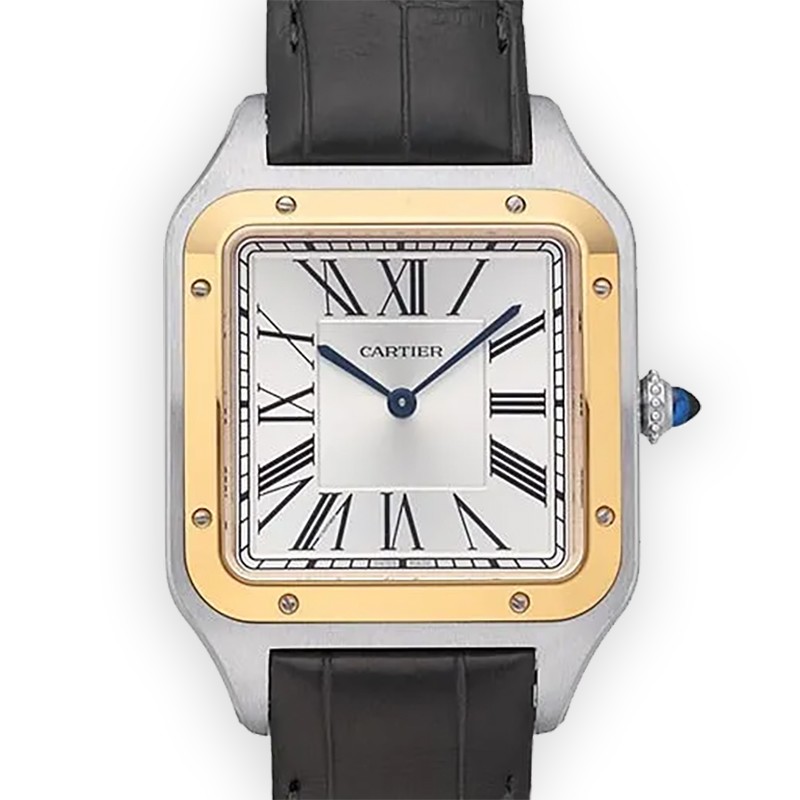 NEW CARTIER SANTOS W2SA0034 1