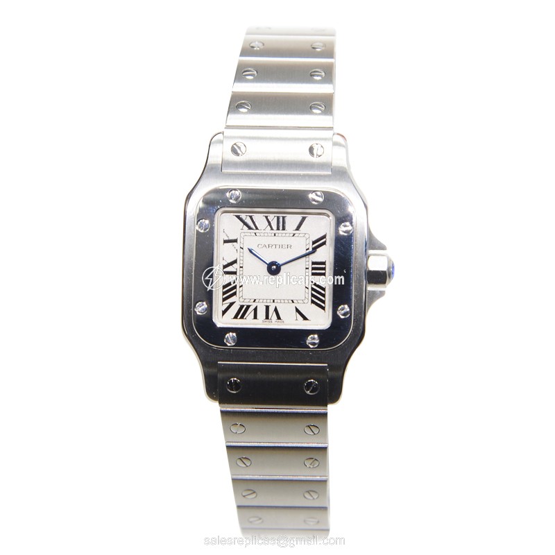 CARTIER SANTOS W20056D6 2