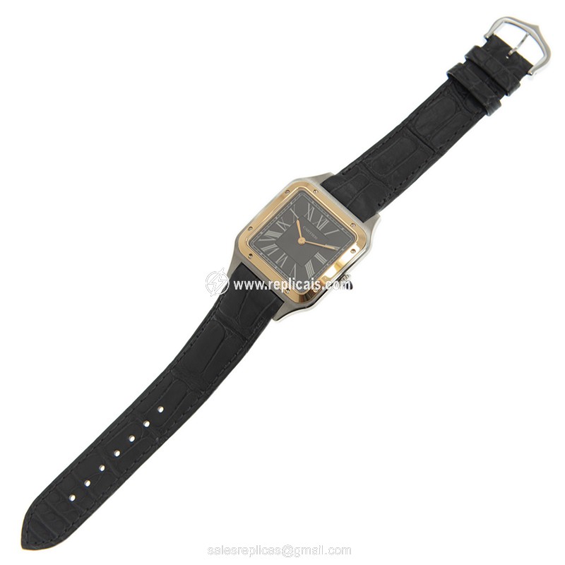 CARTIER SANTOS W2SA0015 2