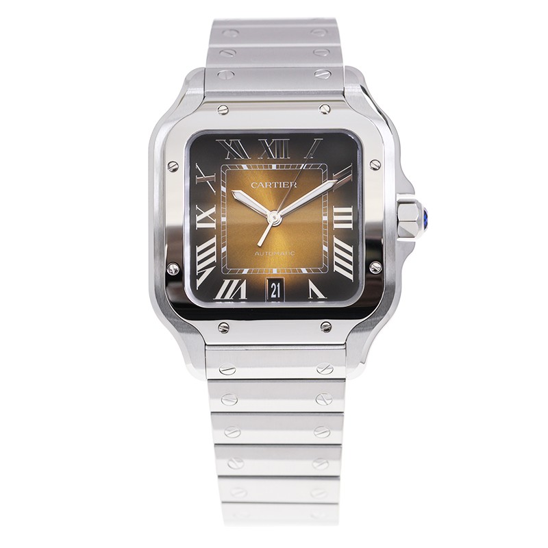 NEW CARTIER SANTOS WSSA0064 2