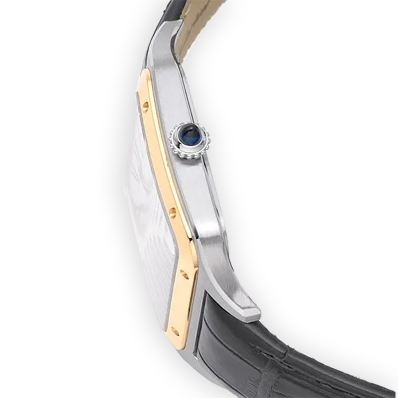NEW CARTIER SANTOS W2SA0034 2