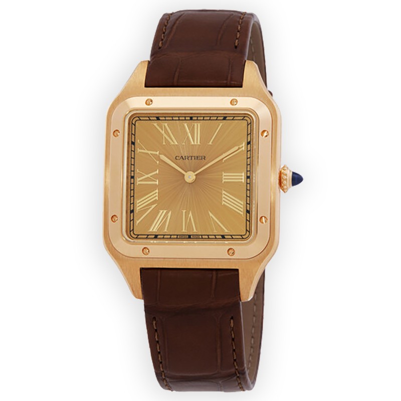 NEW CARTIER SANTOS WGSA0111 2