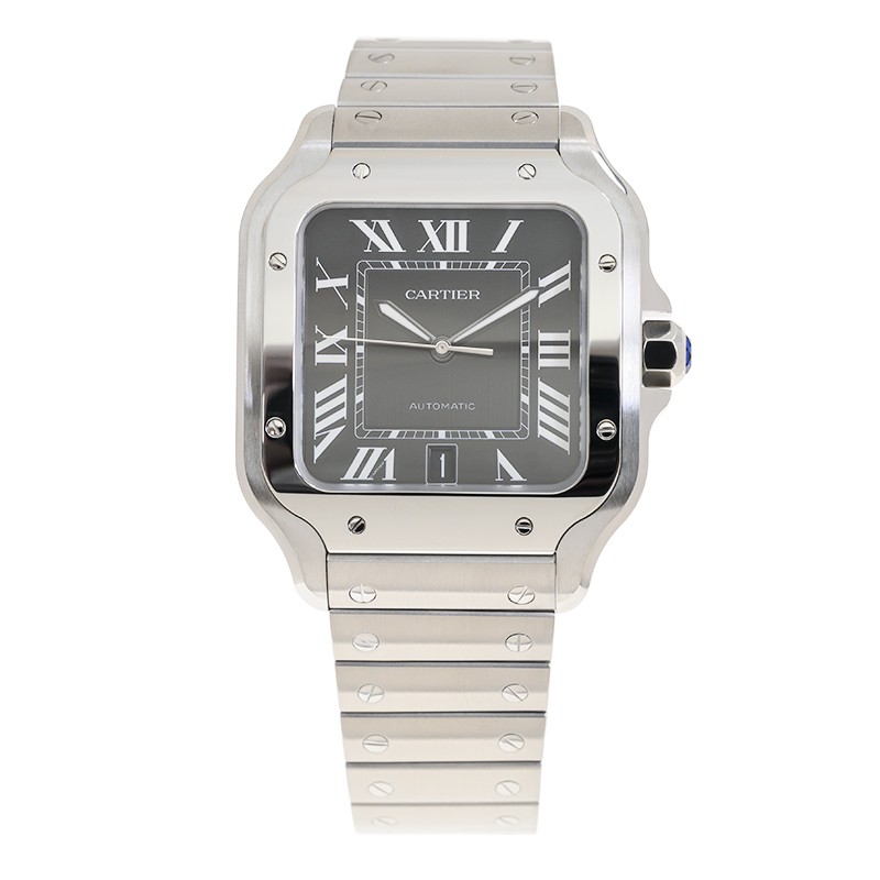 NEW CARTIER SANTOS WSSA0096 2