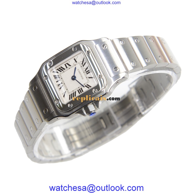 CARTIER SANTOS W20056D6 3