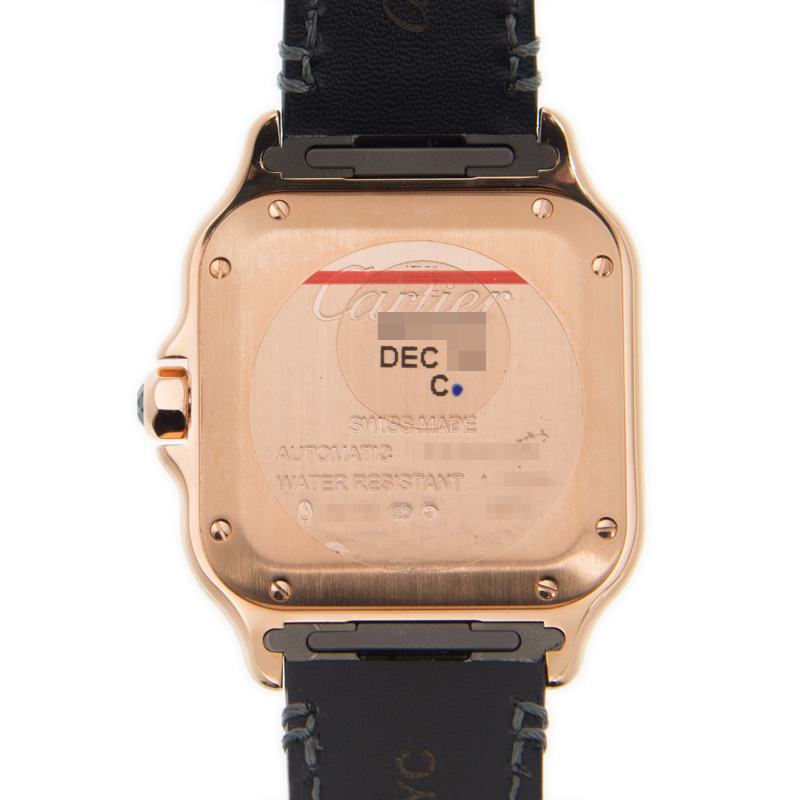 NEW CARTIER SANTOS WGSA0012 3