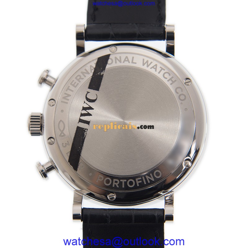 IWC PORTOFINO IW391029 (IW391008) 3