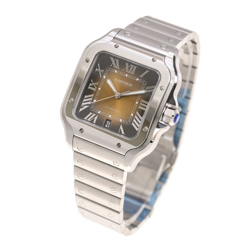 NEW CARTIER SANTOS WSSA0064 3