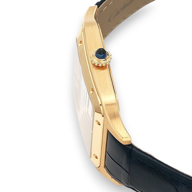 NEW CARTIER SANTOS WGSA0077 3