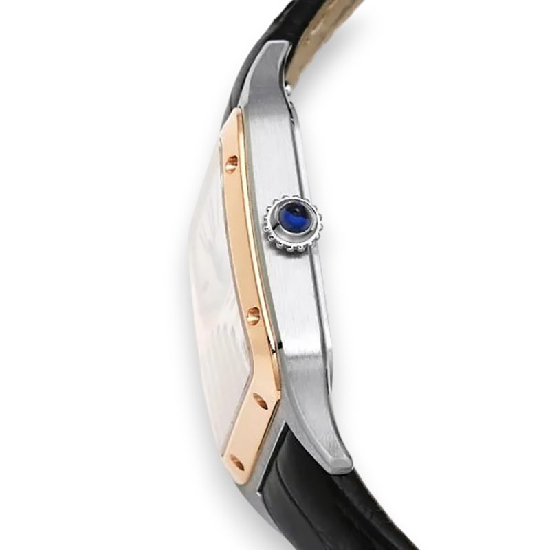 NEW CARTIER SANTOS W2SA0038 3