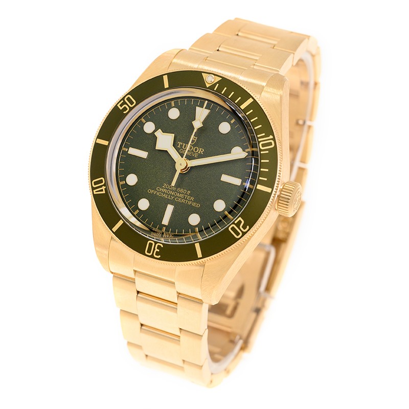 NEW TUDOR BLACK BAY 1958 79018V-0006 3