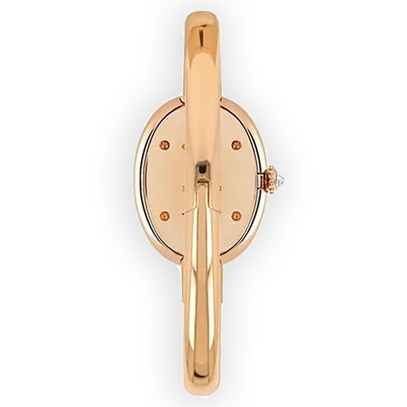 NEW CARTIER BAIGNOIRE WJBA0041 3