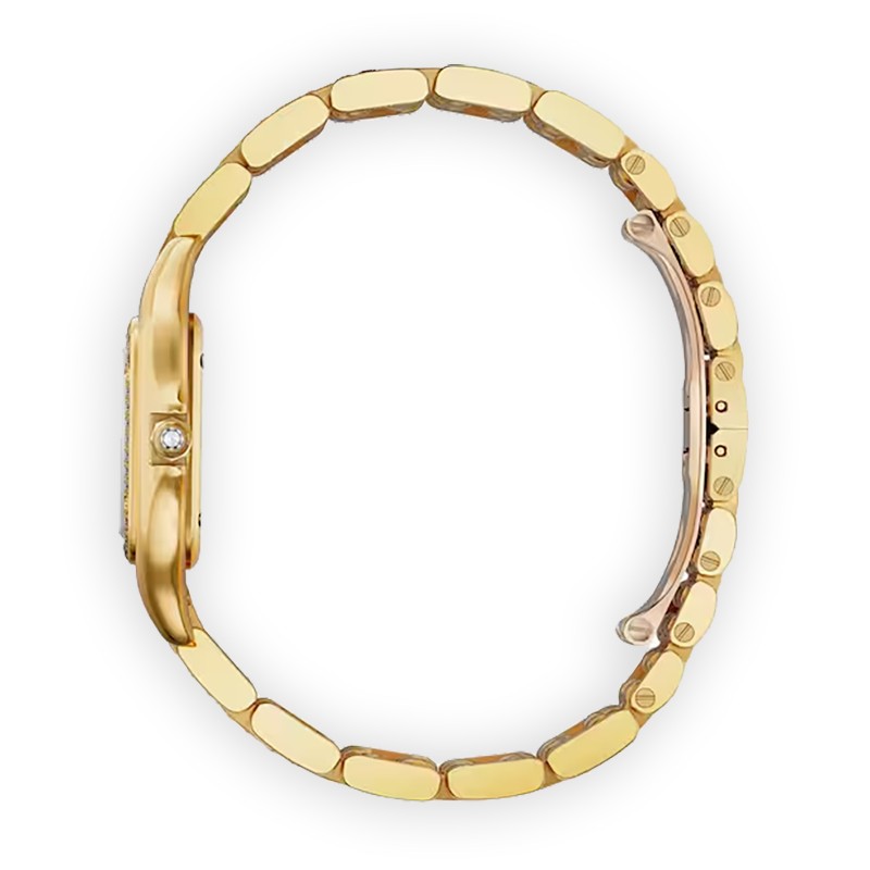 NEW CARTIER PANTHeRE DE CARTIER WJPN0060 3