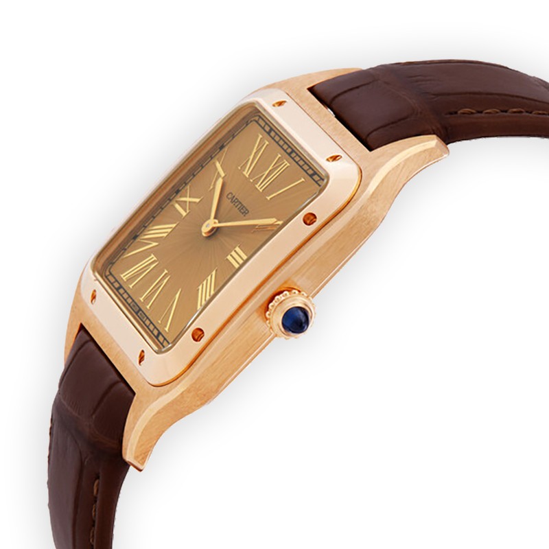 NEW CARTIER SANTOS WGSA0111 3