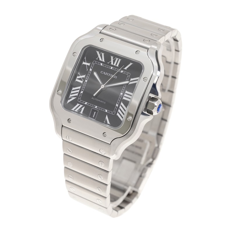 NEW CARTIER SANTOS WSSA0096 3