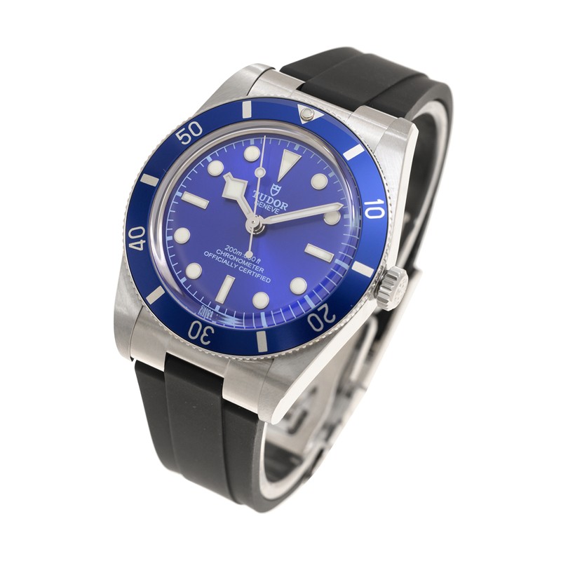 NEW TUDOR BLACK BAY 54 79000B-0002 3