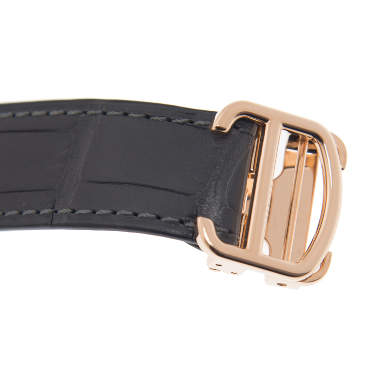 NEW CARTIER SANTOS WGSA0011 4