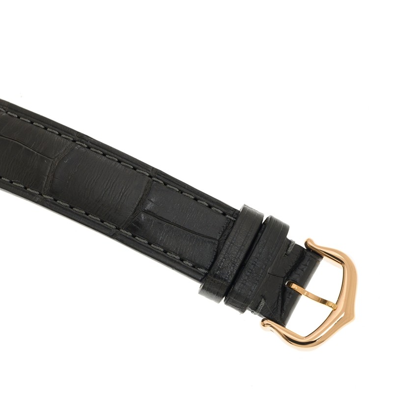 NEW CARTIER SANTOS WGSA0022 4