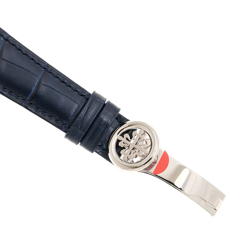 NEW PATEK PHILIPPE COMPLICATIONS 5231G-001 4