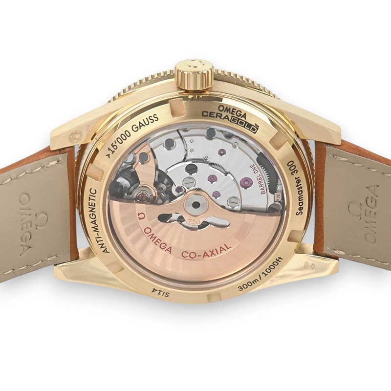 NEW OMEGA SEAMASTER 233.62.41.21.01.001 4