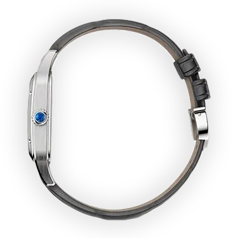 NEW CARTIER SANTOS WHSA0032 4