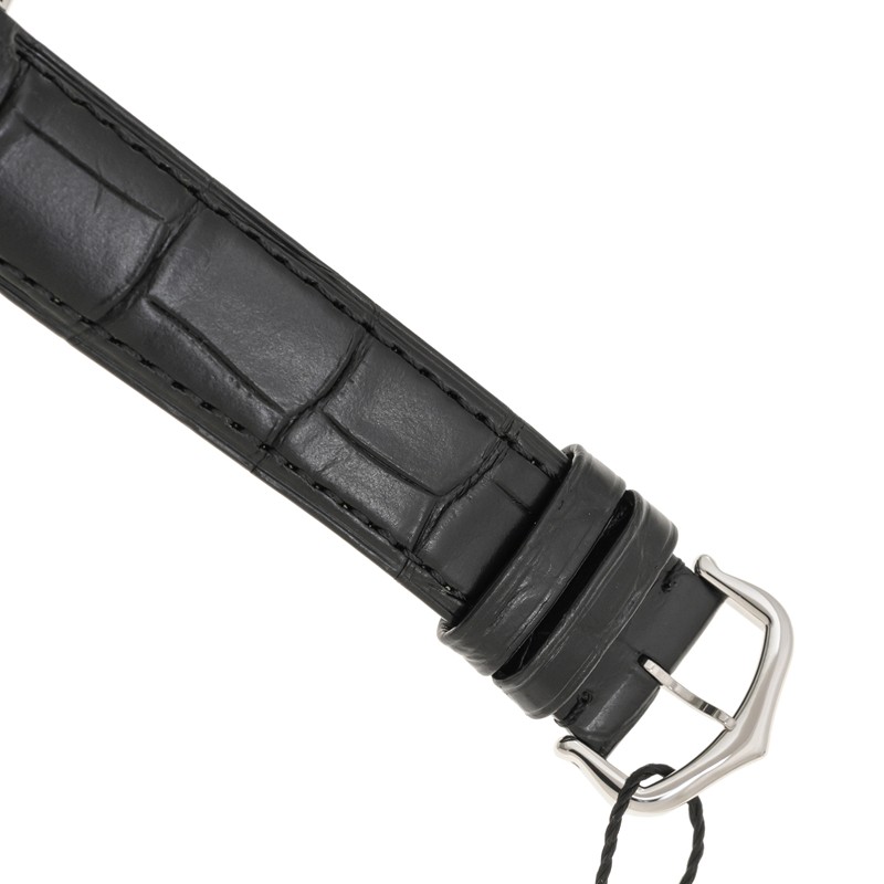NEW CARTIER SANTOS WSSA0046 4