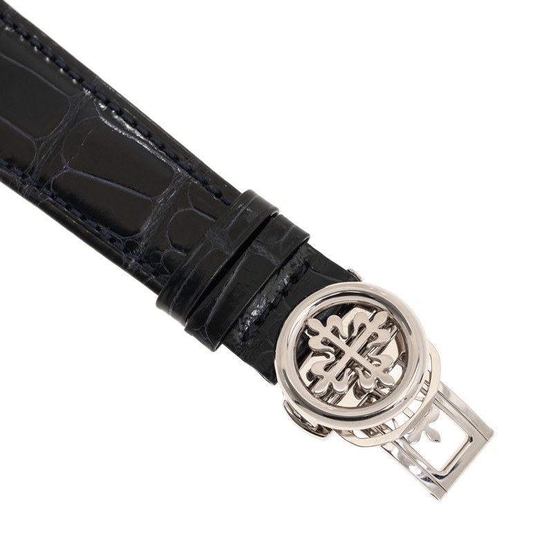 NEW PATEK PHILIPPE GRAND COMPLICATIONS 5308G-001 4