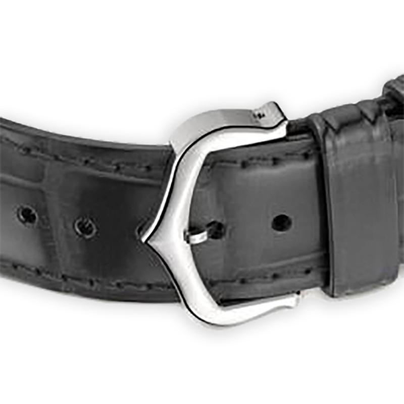 NEW CARTIER SANTOS WHSA0032 5