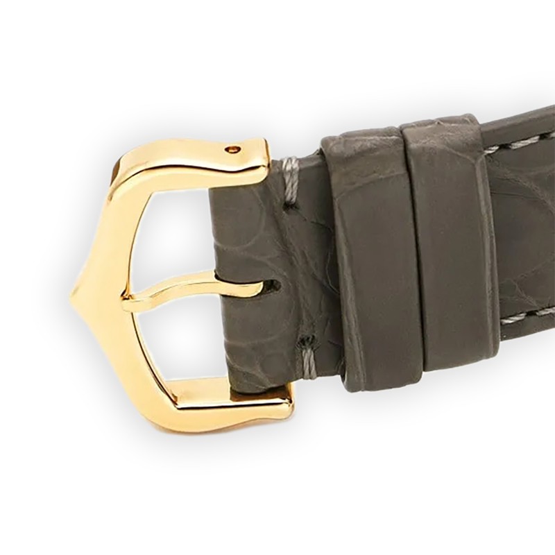 NEW CARTIER SANTOS WGSA0097 5