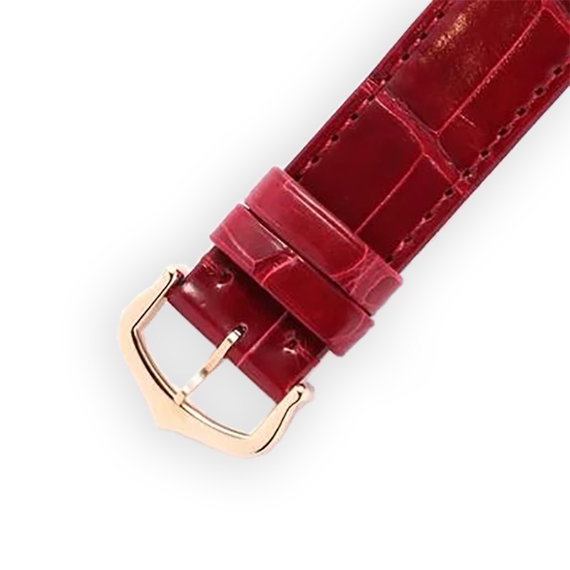 NEW CARTIER SANTOS WJSA0016 5