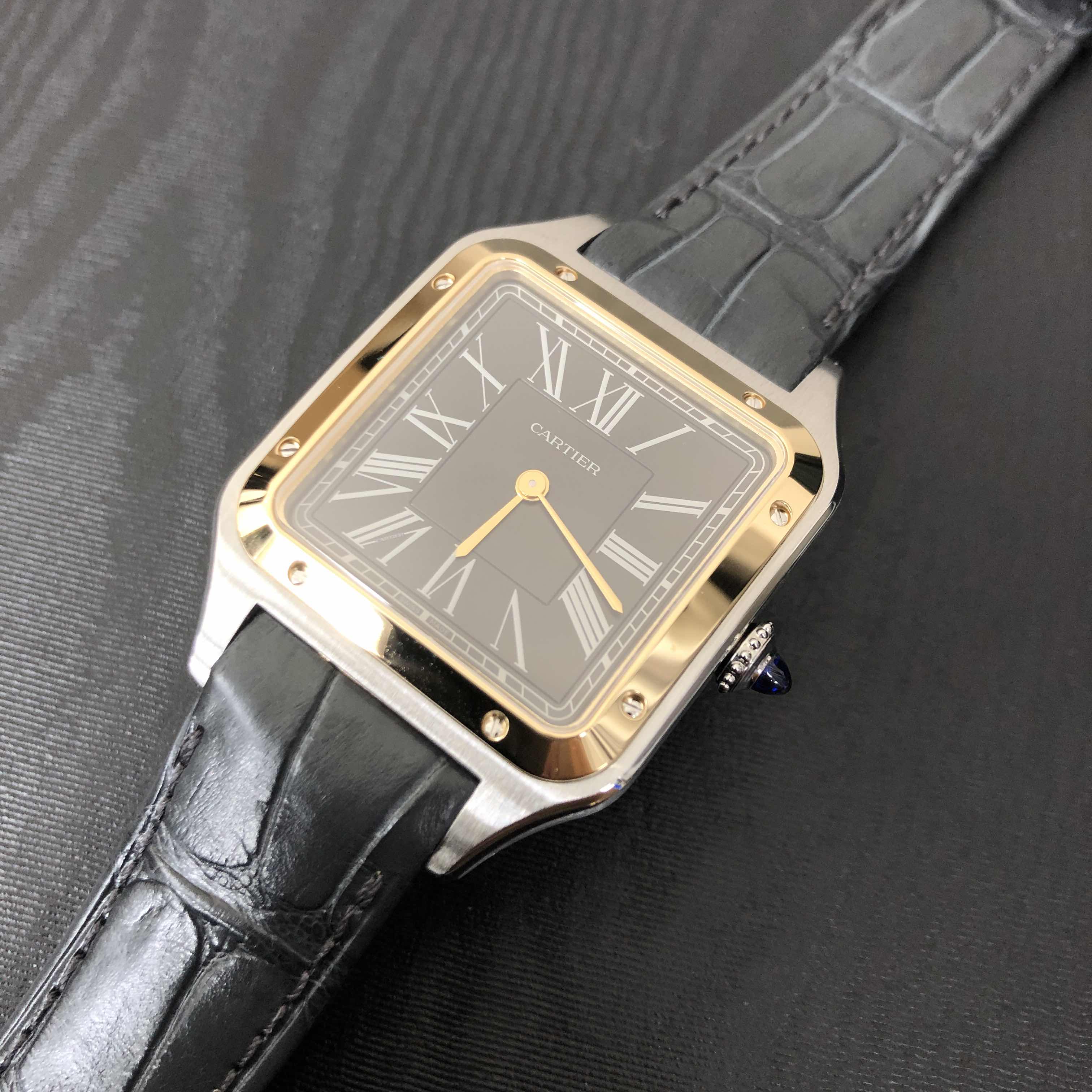 CARTIER SANTOS W2SA0015 5