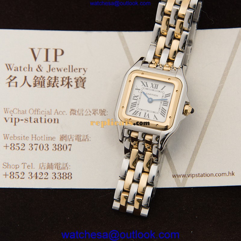 CARTIER PANTHeRE DE CARTIER W2PN0006 6