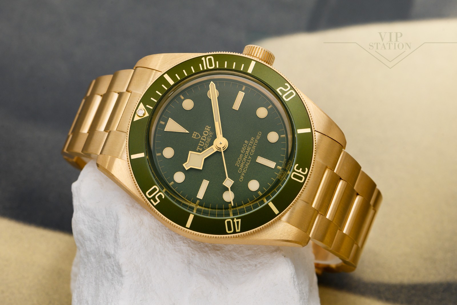 NEW TUDOR BLACK BAY 1958 79018V-0006 6