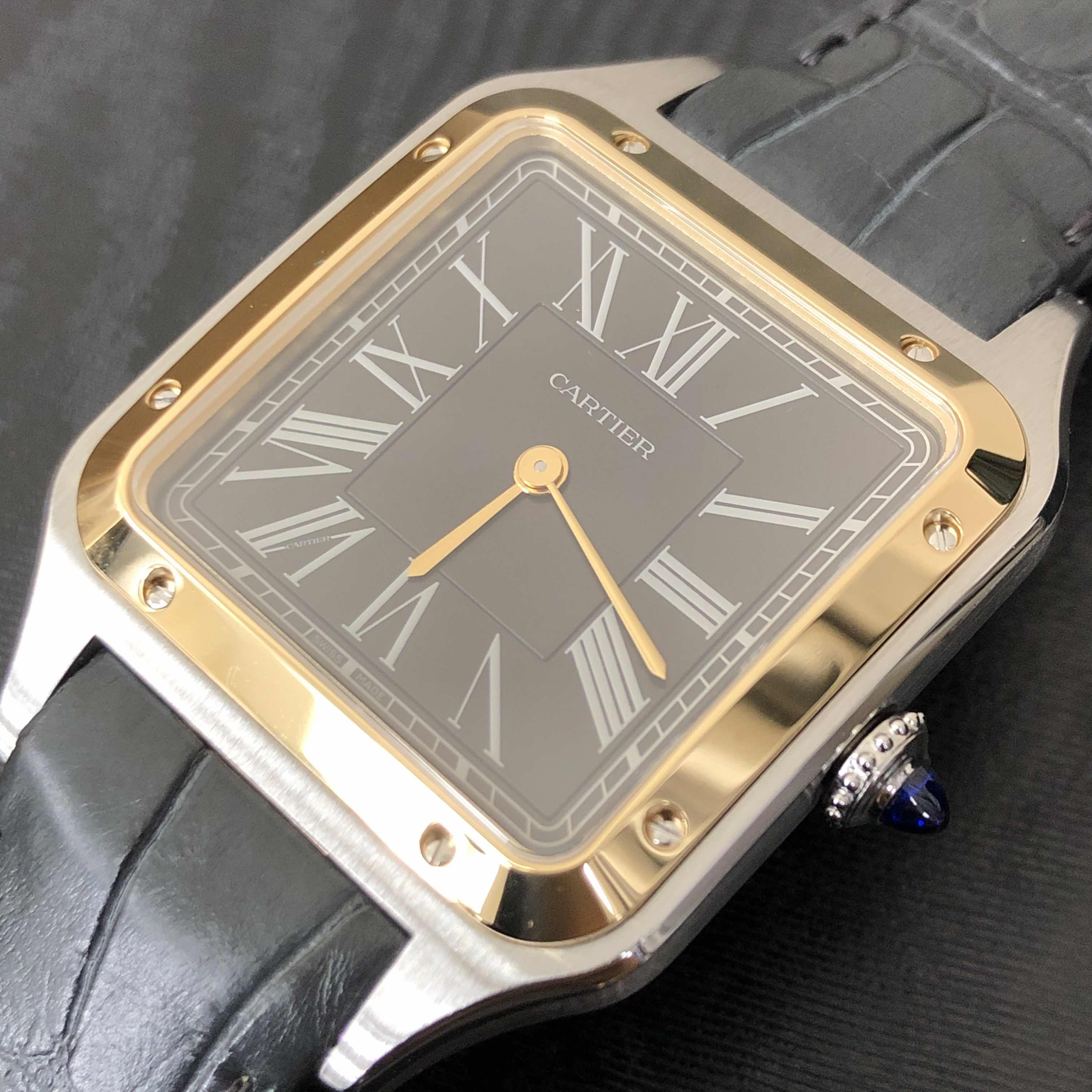 CARTIER SANTOS W2SA0015 6