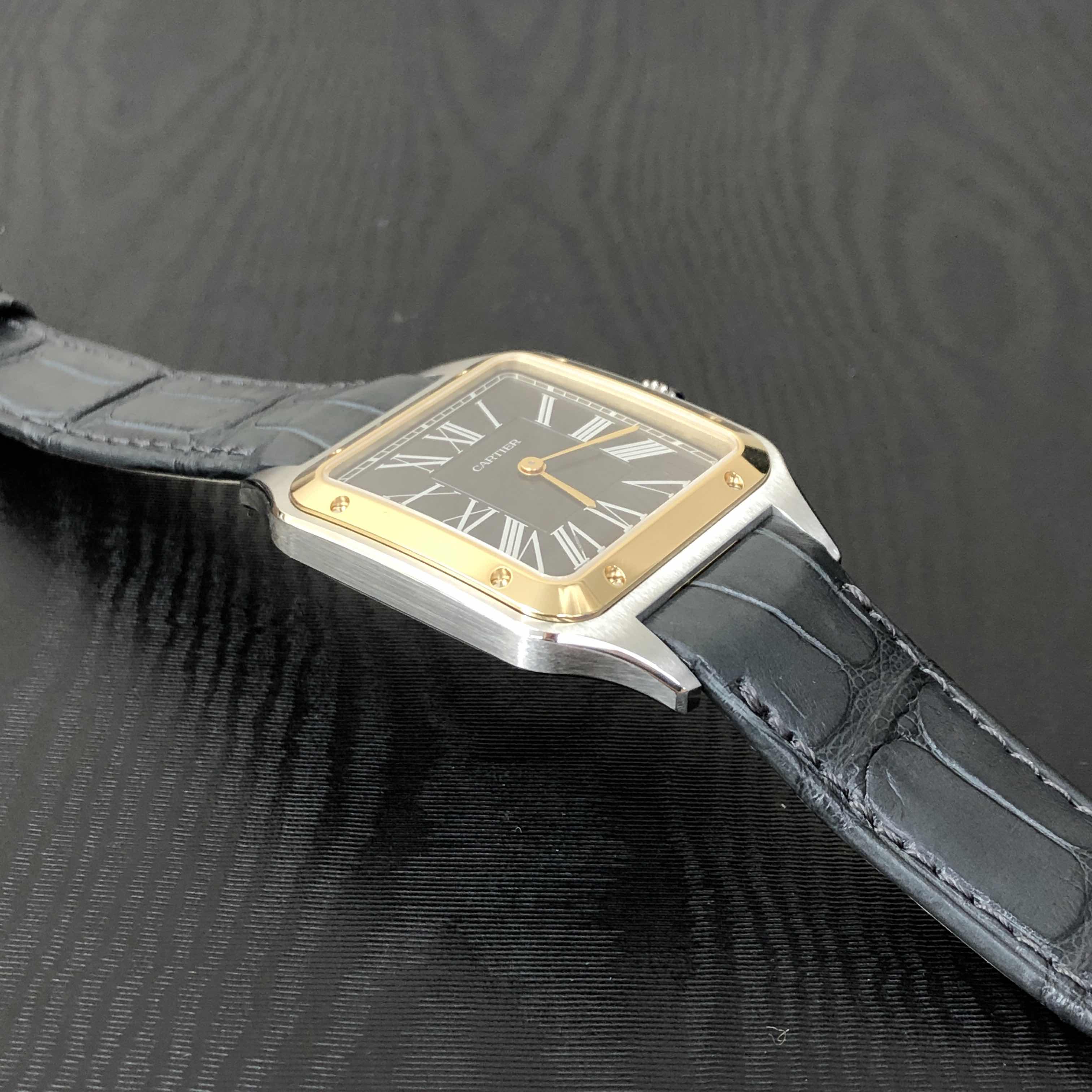 CARTIER SANTOS W2SA0015 7