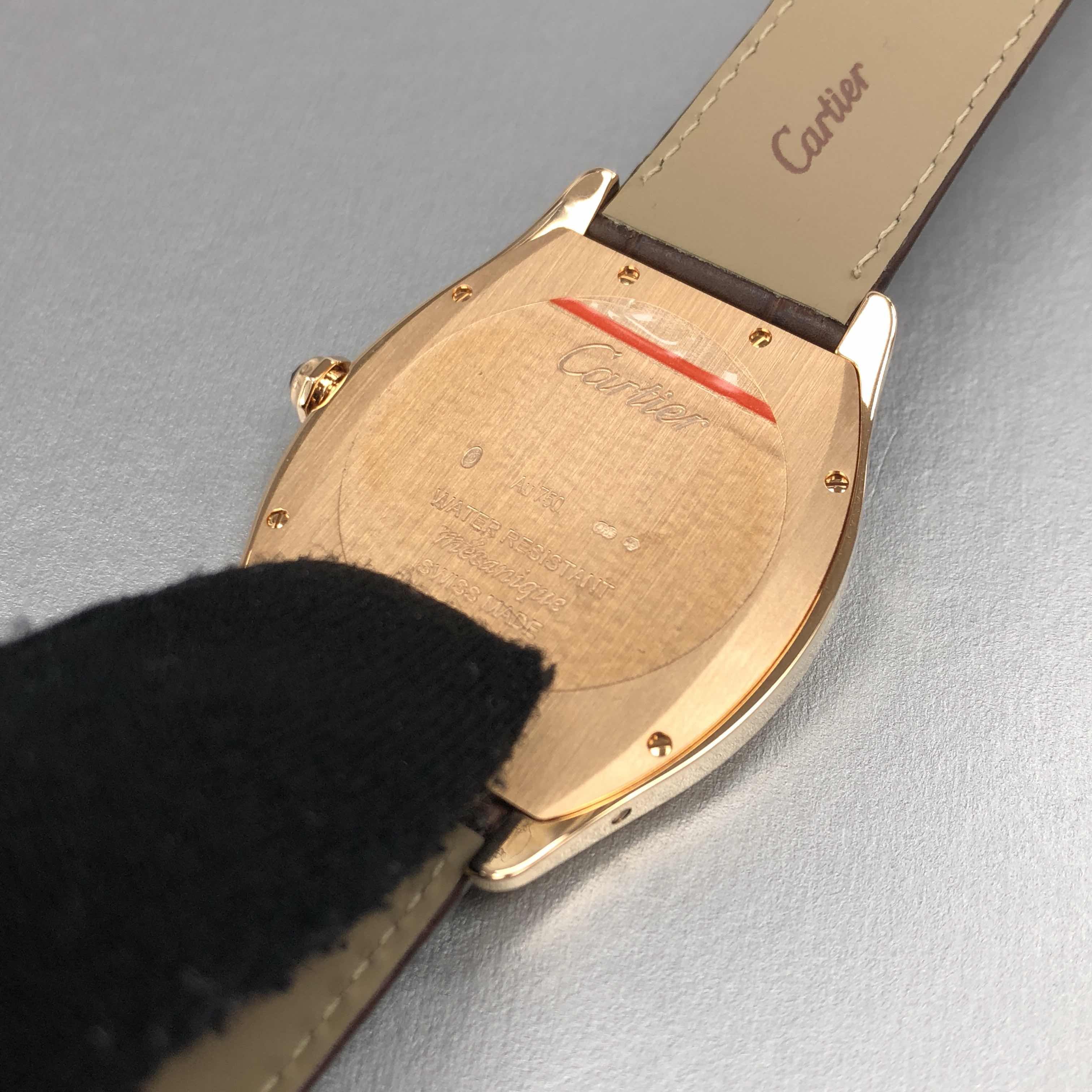 CARTIER TORTUE WGTO0002 8
