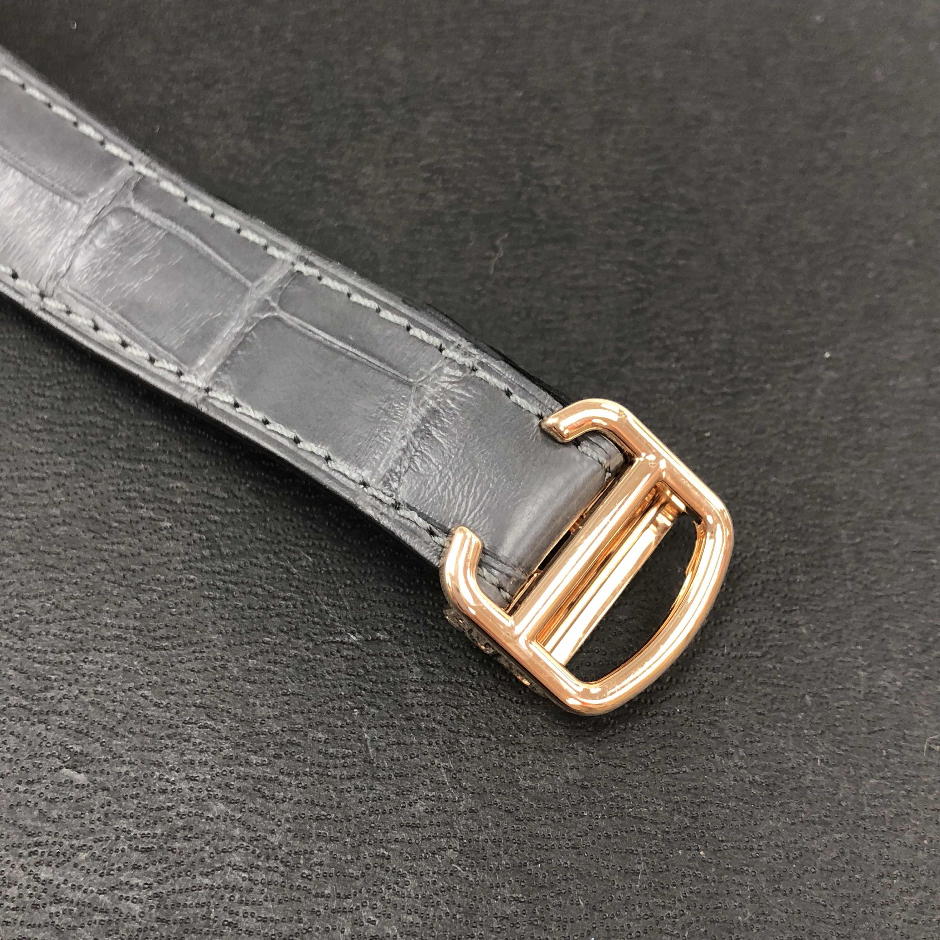 NEW CARTIER SANTOS WGSA0012 8