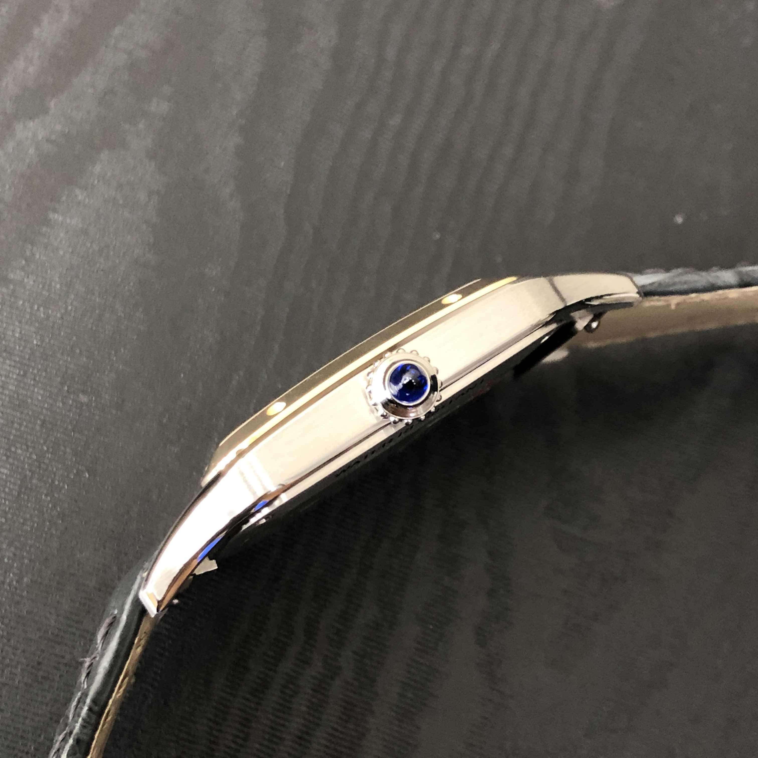 CARTIER SANTOS W2SA0015 8
